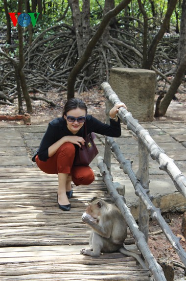 Natural beauty of Can Gio primeval mangrove forest  - ảnh 15